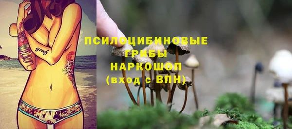 гидропоника Абинск