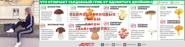 PSILOCYBIN Алексеевка