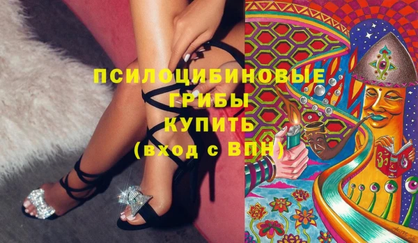 амф Абаза