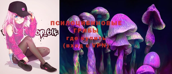 PSILOCYBIN Алексеевка