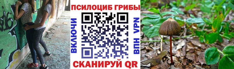 Галлюциногенные грибы прущие грибы  mega онион  это наркотические препараты  Шебекино 